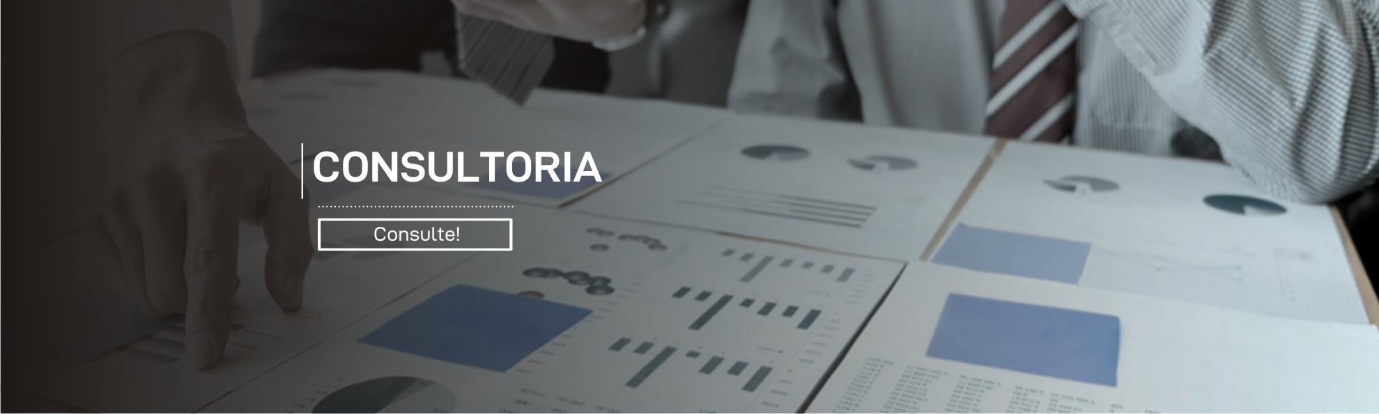 Visualizar 